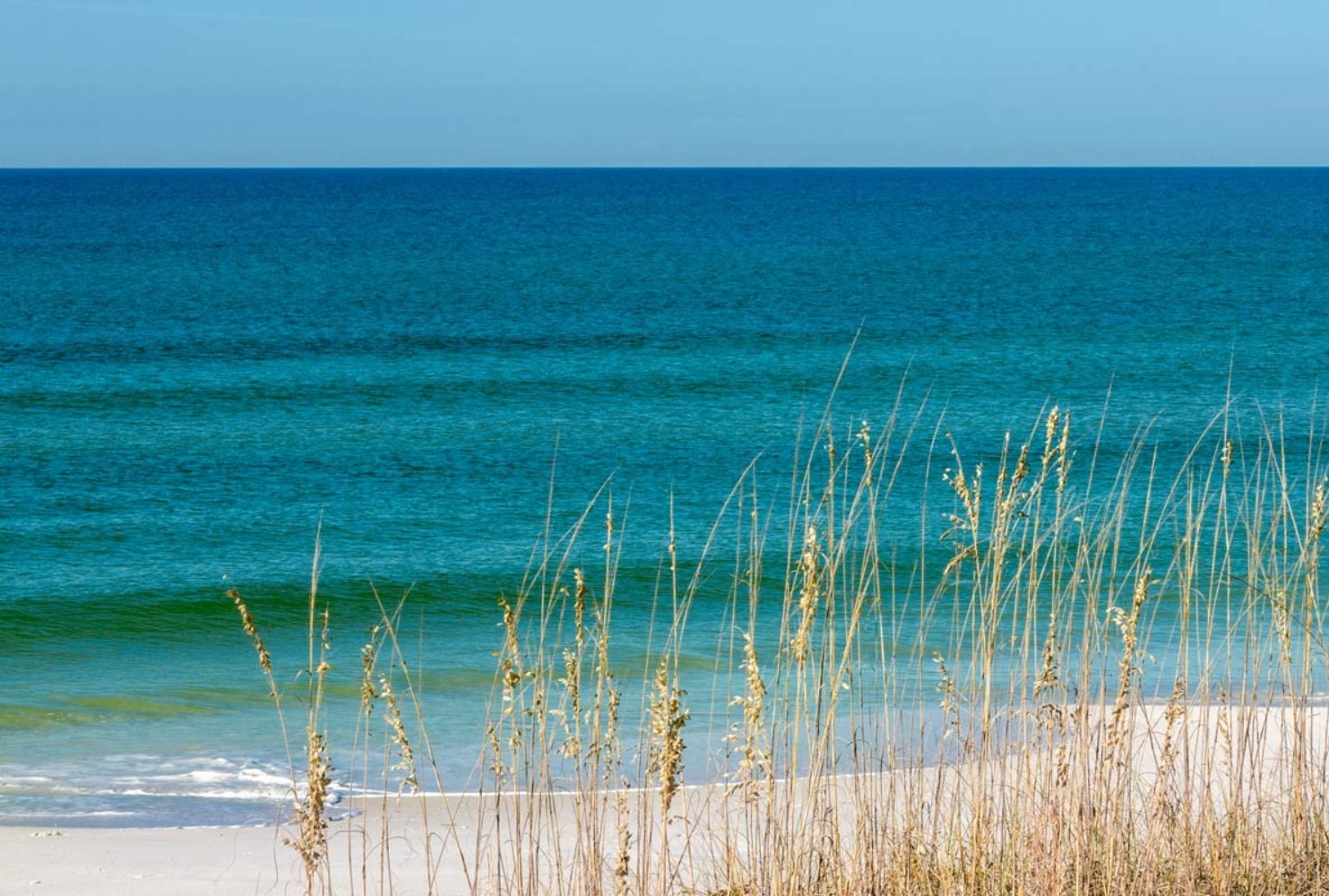 mexico beach